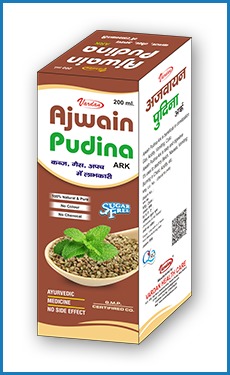 Ajwain Pudina